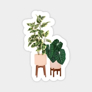 House Plants Illustration  29 Sticker